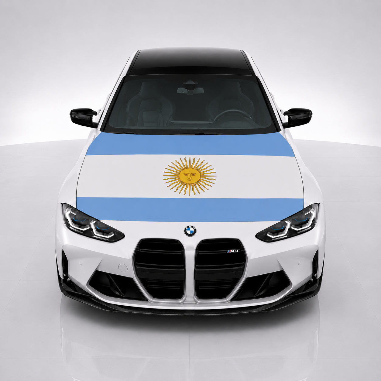 Argentina Car Hood Flag